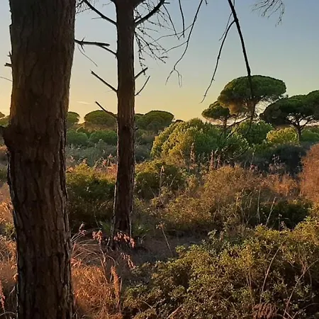 Dom wakacyjny Casas Sol & Luna *